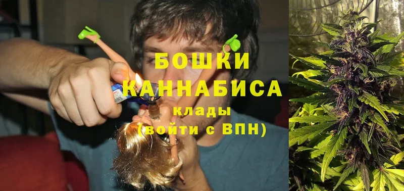 где купить наркоту  Родники  Бошки марихуана Ganja 